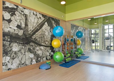 Apartment Fitness Center
